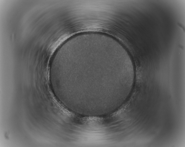 X0000103961077200810311608