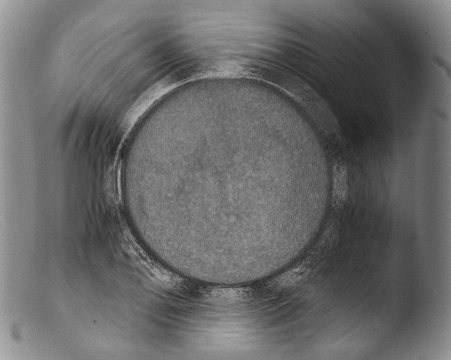 X0000103961078200810311608