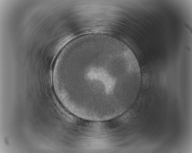 X0000103961079200810311608