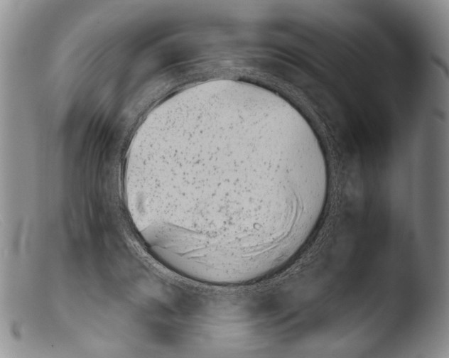X0000103961080200810311608