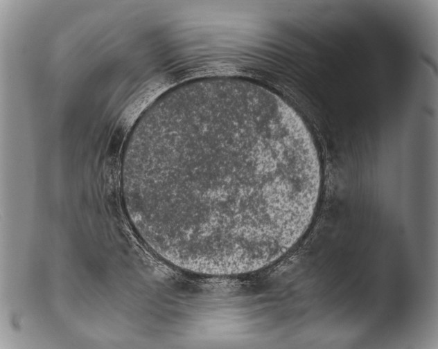 X0000103961081200810311608