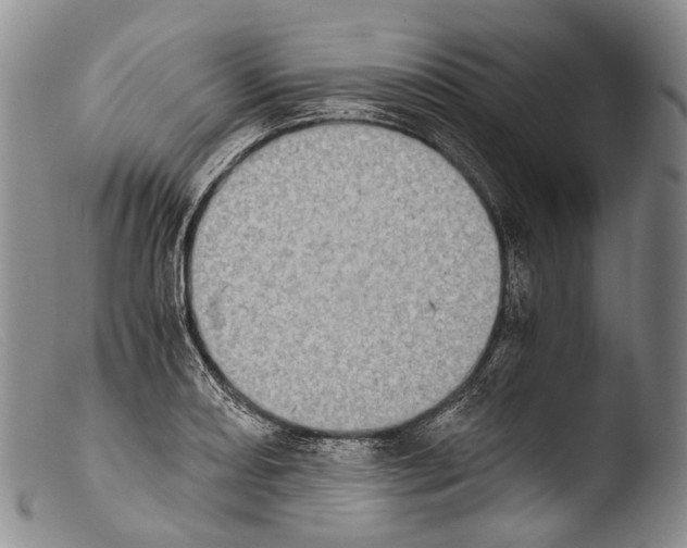 X0000103961082200810311608