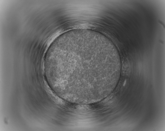 X0000103961083200810311608