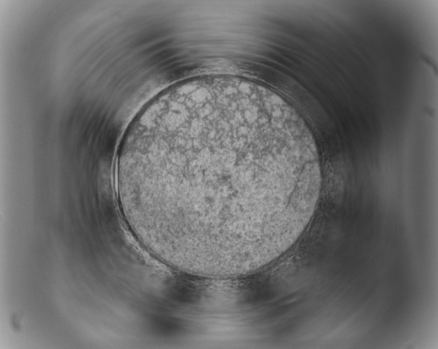 X0000103961084200810311608