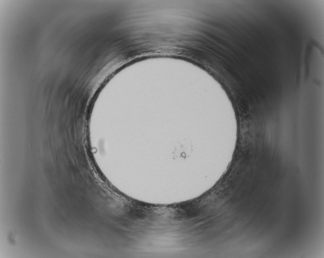 X0000103961085200810311608
