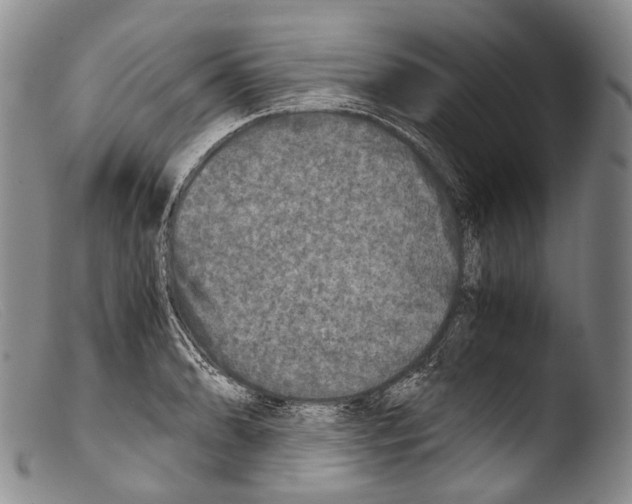 X0000103961086200810311608