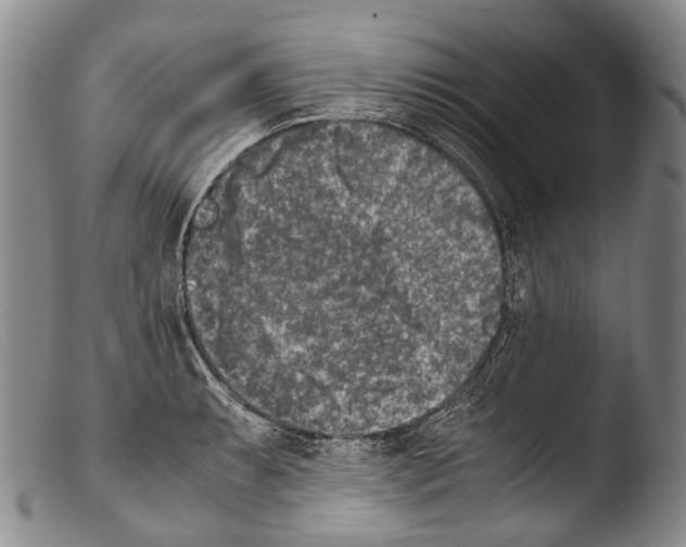 X0000103961087200810311608