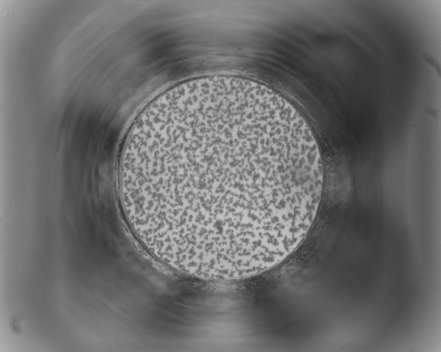 X0000103961088200810311608