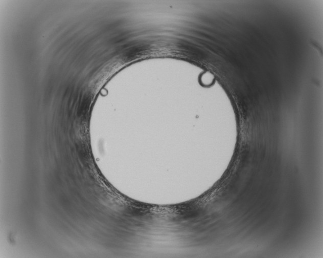 X0000103961089200810311608