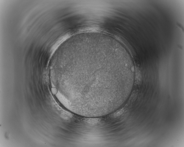 X0000103961090200810311608