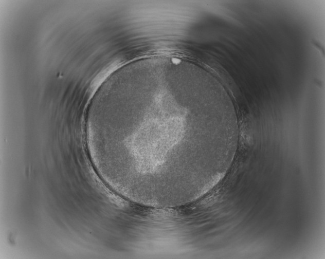 X0000103961091200810311608