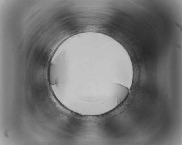 X0000103961092200810311608