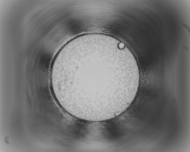 X0000103961093200810311608