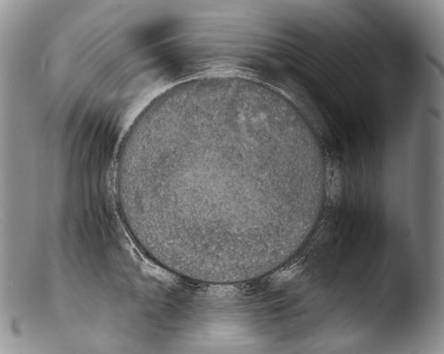 X0000103961094200810311608