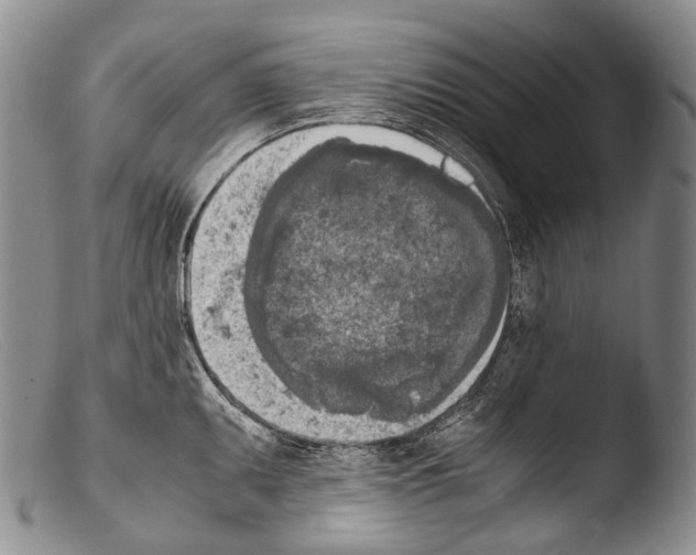 X0000103961095200810311608