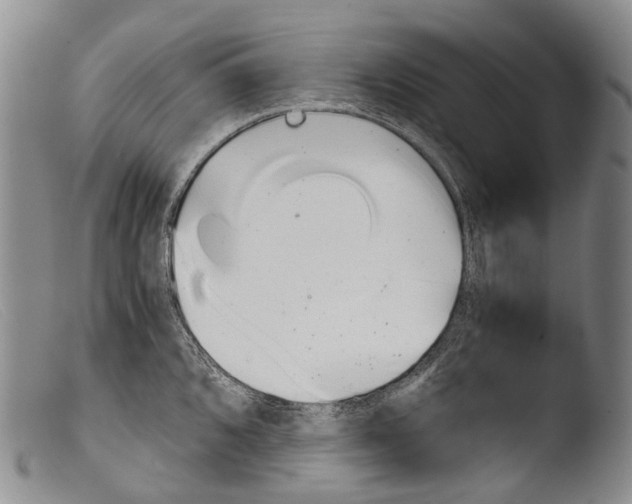 X0000103961096200810311608