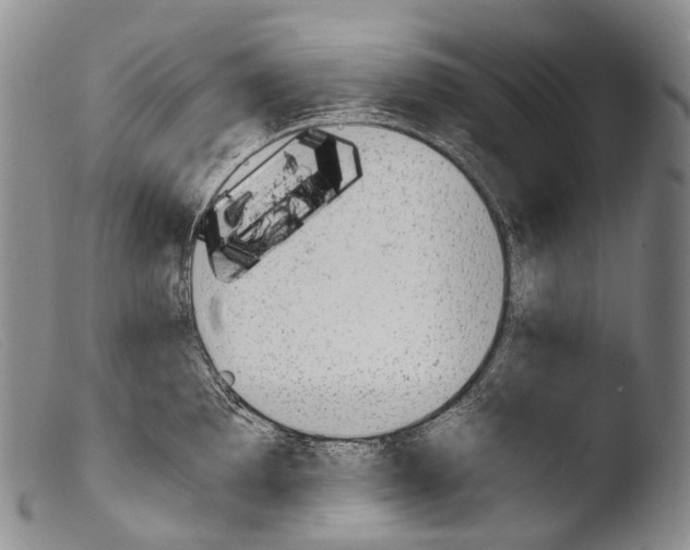 X0000103961097200810311608