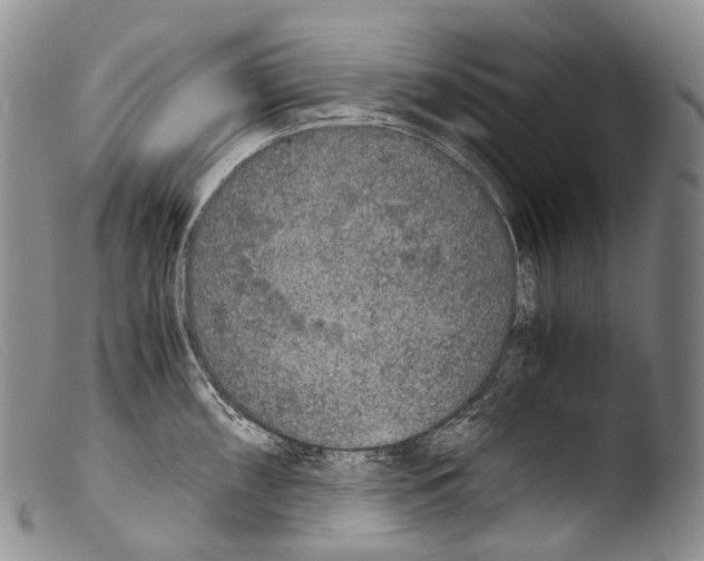 X0000103961098200810311608