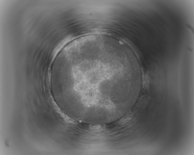 X0000103961099200810311608