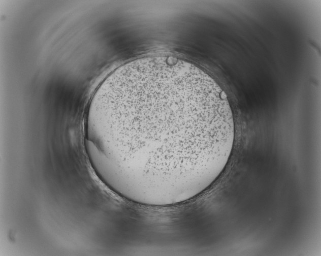 X0000103961100200810311608