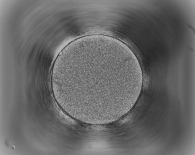 X0000103961102200810311608