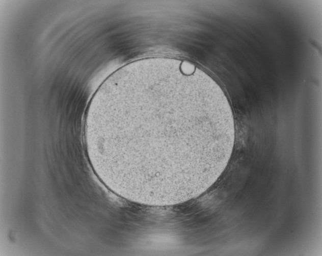 X0000103961103200810311608