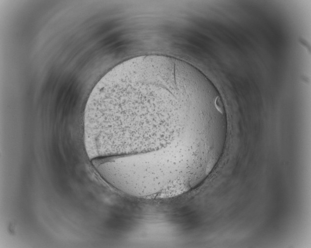 X0000103961104200810311608