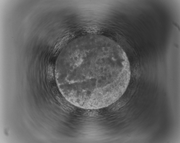 X0000103961106200810311607