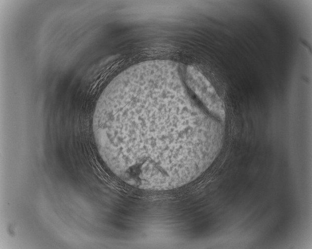 X0000103961108200810311607