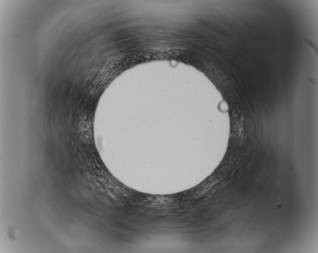 X0000103961109200810311607