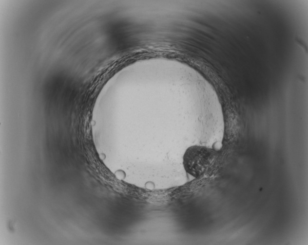 X0000103961110200810311607