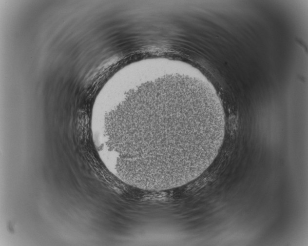 X0000103961111200810311607