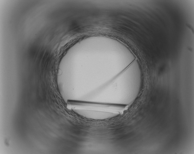 X0000103961112200810311607