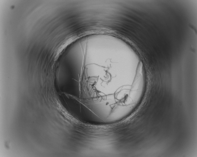 X0000103961114200810311607