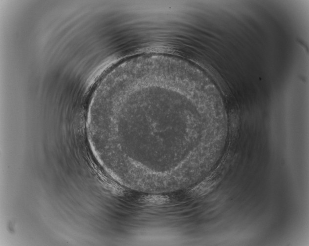 X0000103961115200810311607