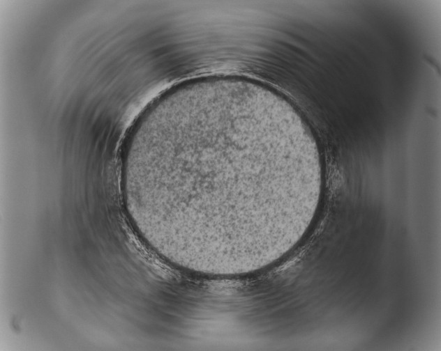 X0000103961118200810311608