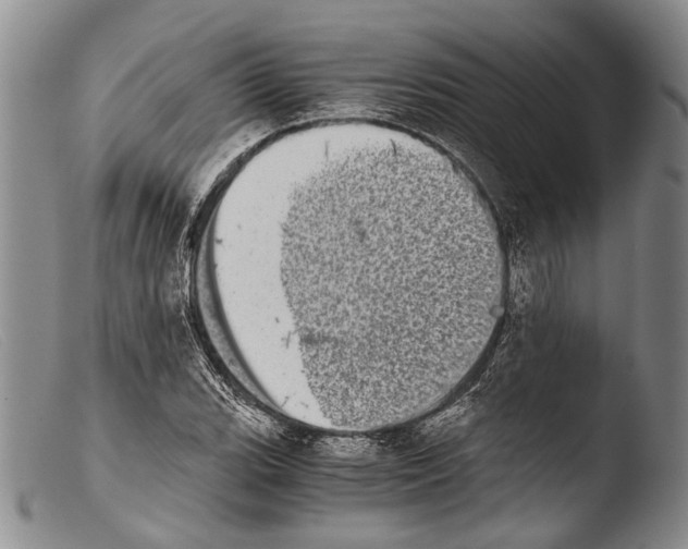 X0000103961119200810311608