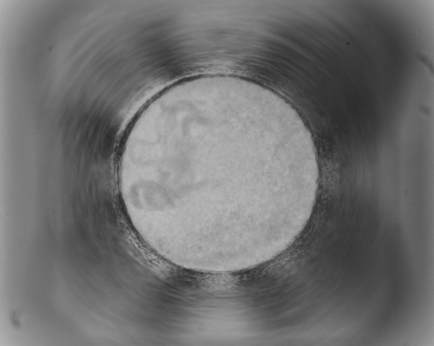 X0000103961120200810311608