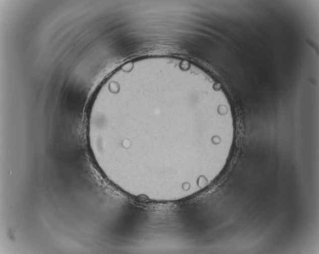 X0000103961122200810311608