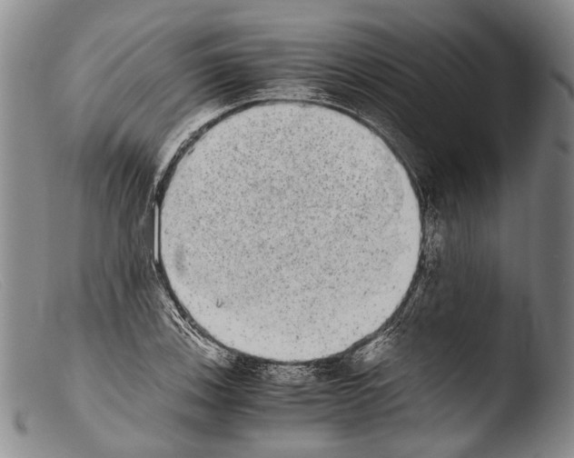 X0000103961123200810311608