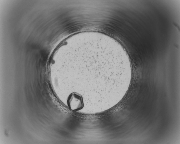 X0000103961124200810311608