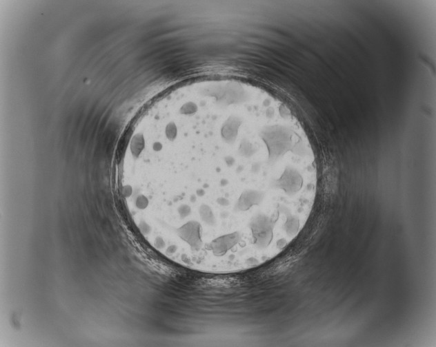 X0000103961125200810311608