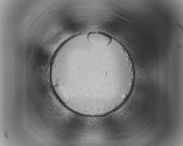 X0000103961126200810311608