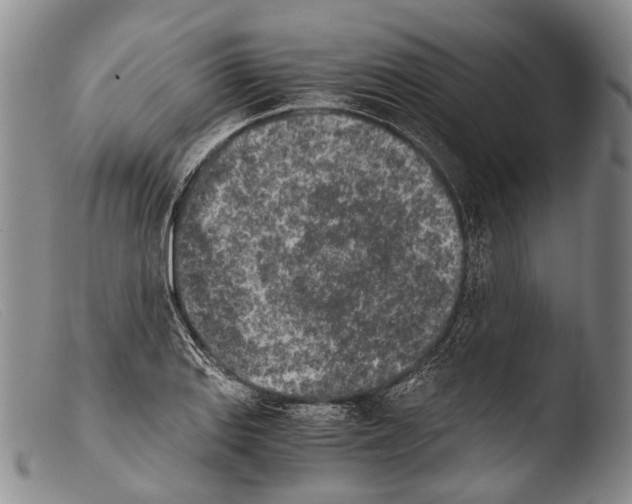 X0000103961127200810311608