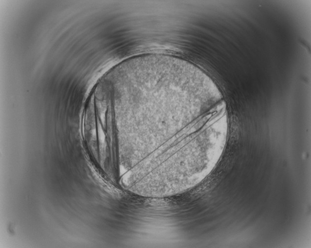 X0000103961128200810311608
