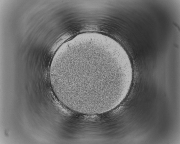 X0000103961129200810311608