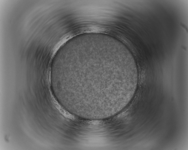 X0000103961130200810311608
