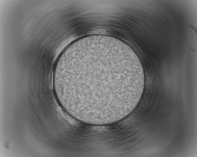 X0000103961131200810311608