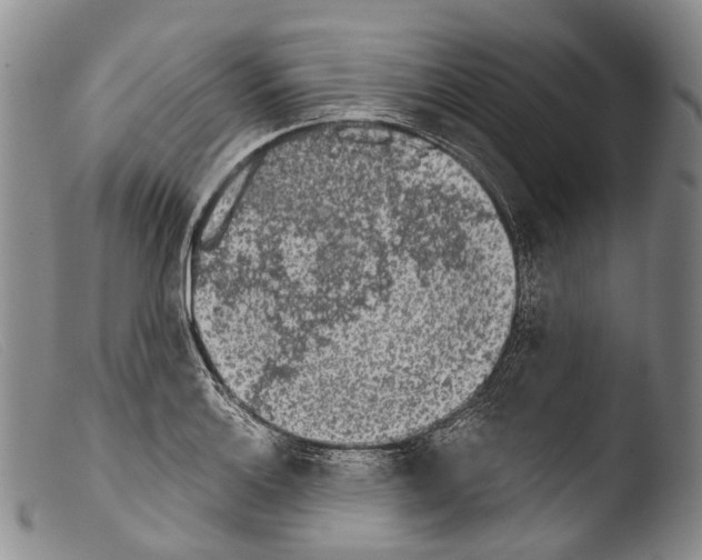 X0000103961132200810311608