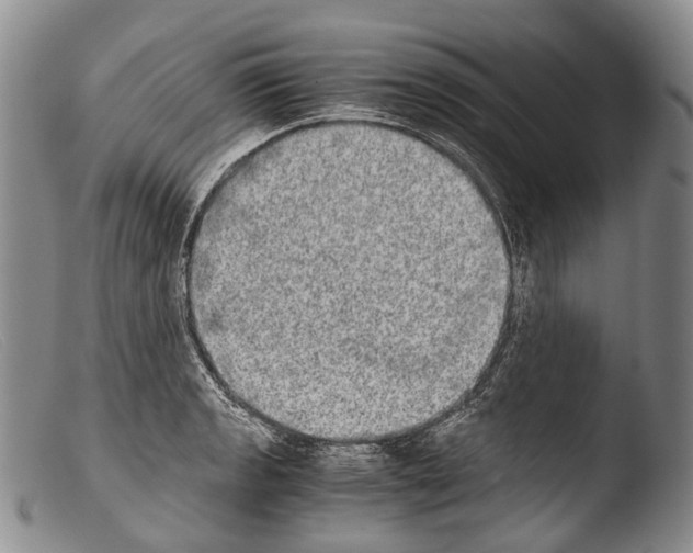 X0000103961133200810311608